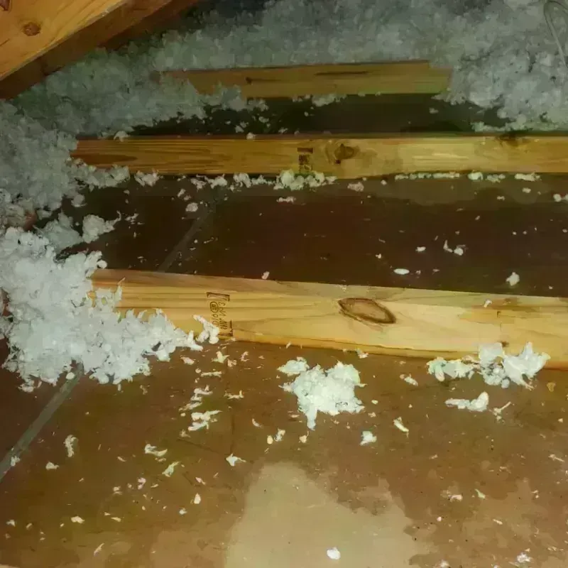 Attic Water Damage in Montgomery County, AL