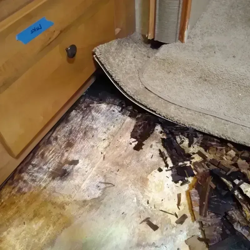 Wood Floor Water Damage in Montgomery County, AL